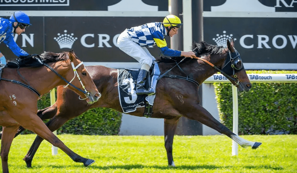 Andrews Out To Reign Supreme In Guineas